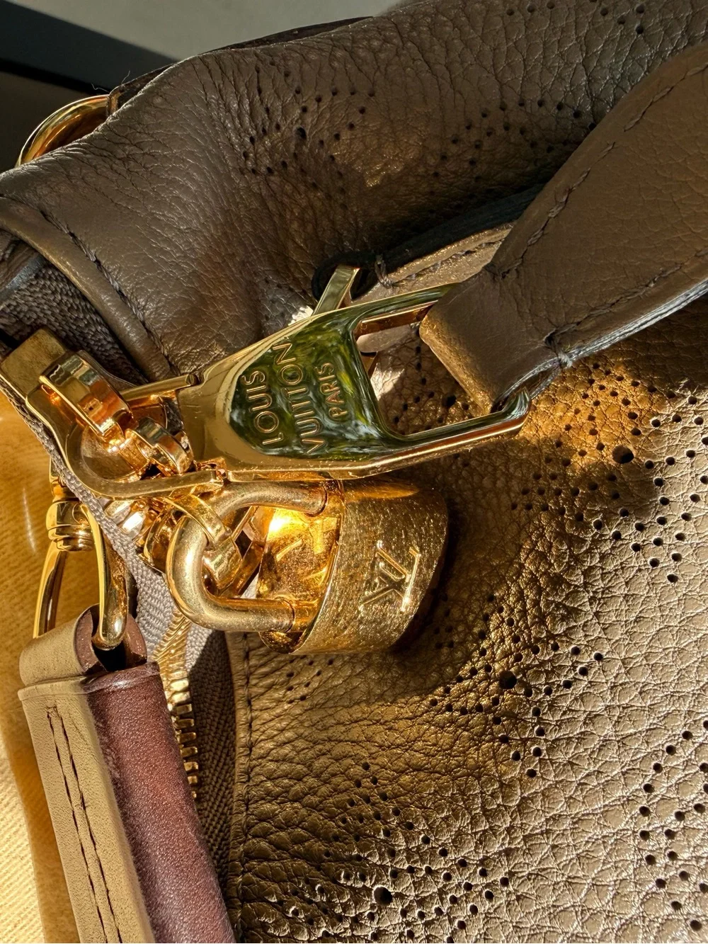 Louis Vuitton luxury bottega